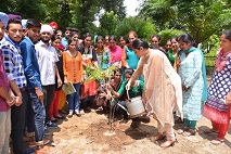 Tree Plantation Activity