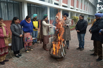 Lohri Celebration