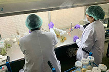 Study Visit To Plant Tissue Culture Labortary At Pau Ludhiana